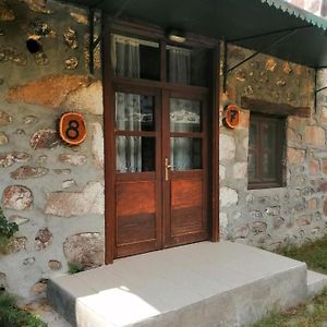 Aile Süiti